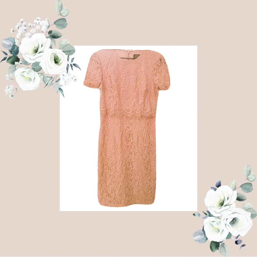 Vince Camuto Elegant Lace Dress in Light Pink/Peach